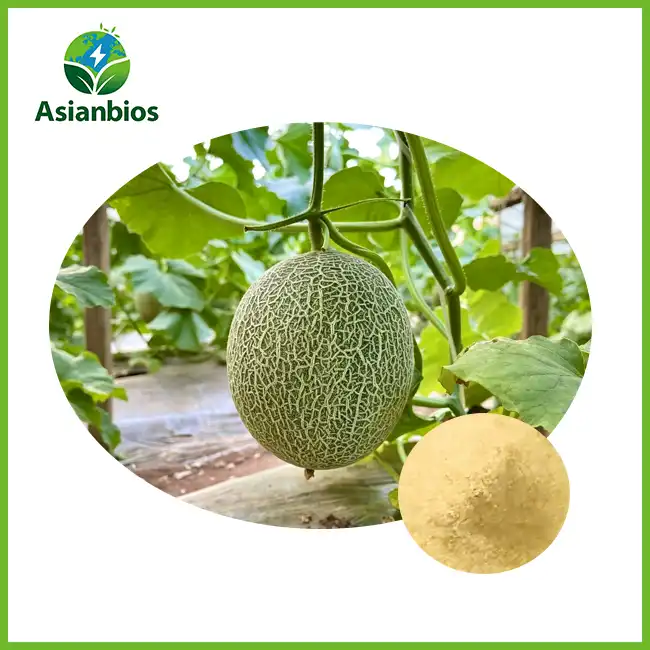 Cantaloupe Powder